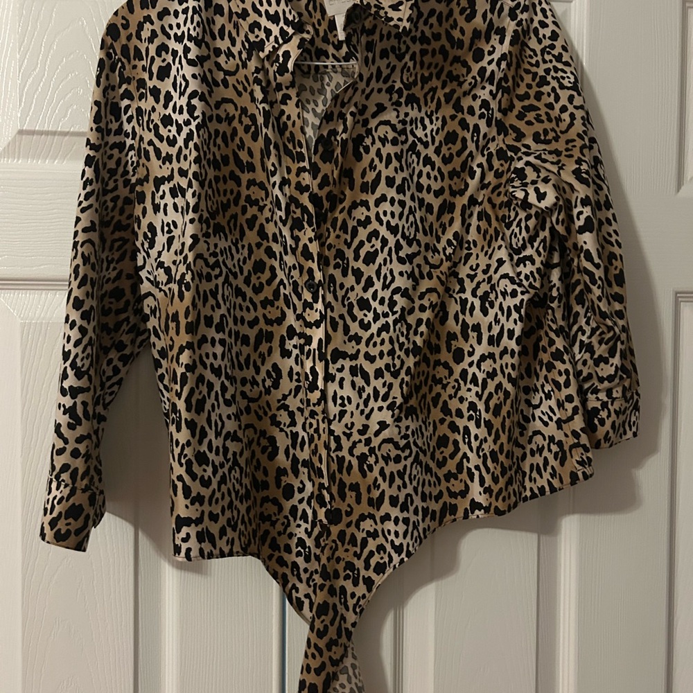 Chico's Animal Print Blouse